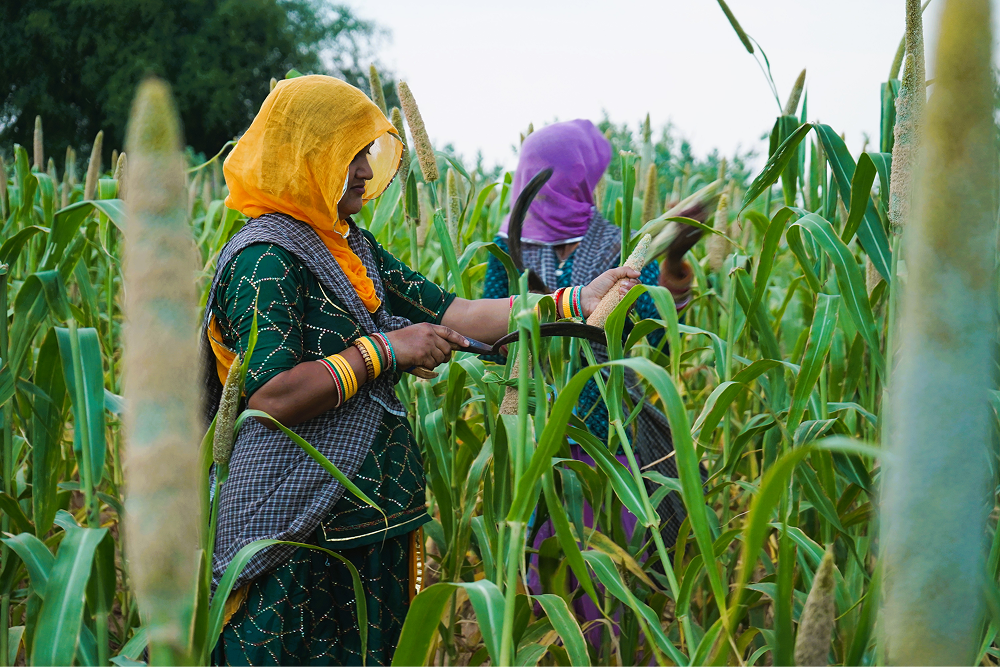 SABL: Strengthening Agriculture-based Livelihoods